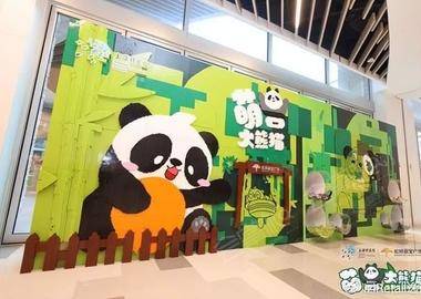 「萌兽大熊猫」大型主题公益科普展